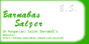 barnabas salzer business card